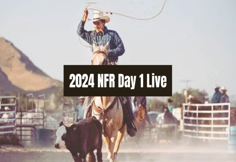 NFR Day 1 Live Wrangler National Finals Rodeo in Las Vegas Dec, 5 2024